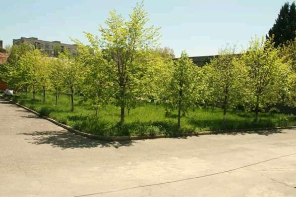 Продается земельный участок для строительство в Тбилиси в фото 11