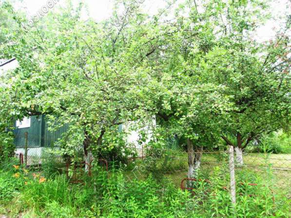 realty_mapper3.plot_in_locationСадовое некоммерческое тов-во. Есть Газ, Водопровод. в Москве фото 24