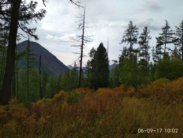 Аккумулятор topla 60 в Омске фото 13