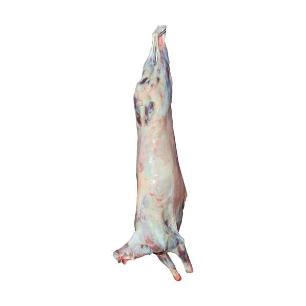 Мясо оптом, говядина, свинина, курица, субпродукты в Сергиевом Посаде фото 6