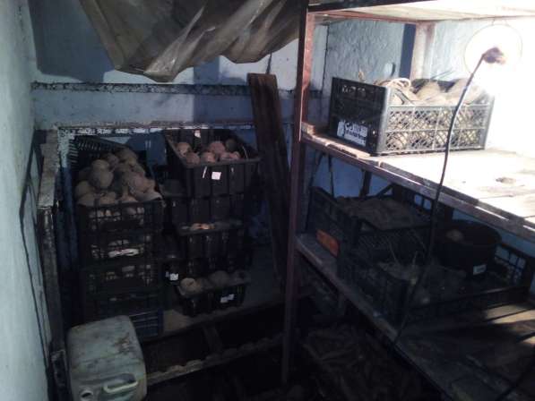 Продажа ячейки в коллективном погребе в Новокузнецке фото 3