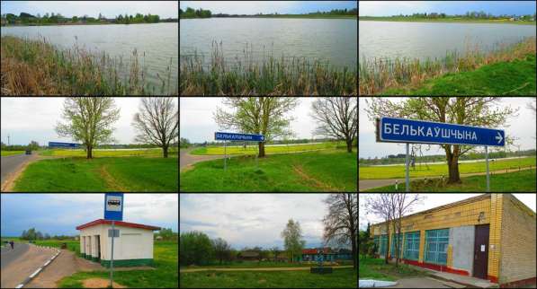 Дом у озера в д. Бельковщина от г. Столбцов 9км в фото 10