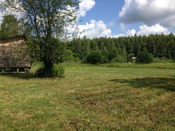 Участок 12 соток в Москве фото 4