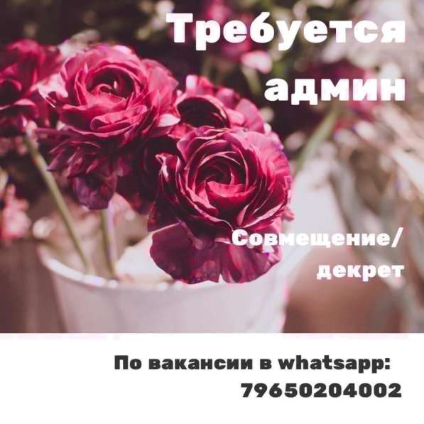 Администратор