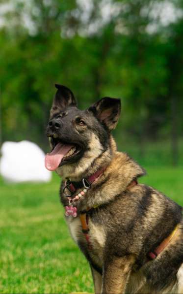 Ласковая и весёлая Мира в Москве фото 8