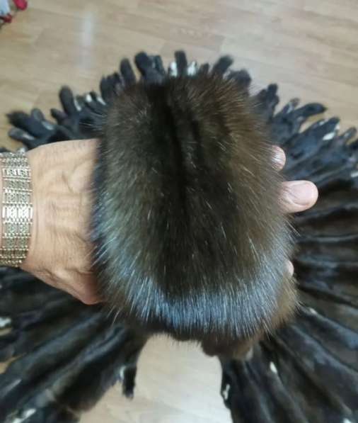 Шкуры соболя в Перми фото 6