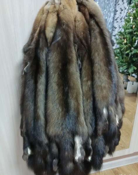 Шкуры соболя в Перми фото 8