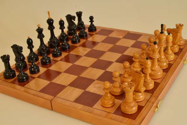 Шахматы Гроссмейстерские в Симферополе фото 7