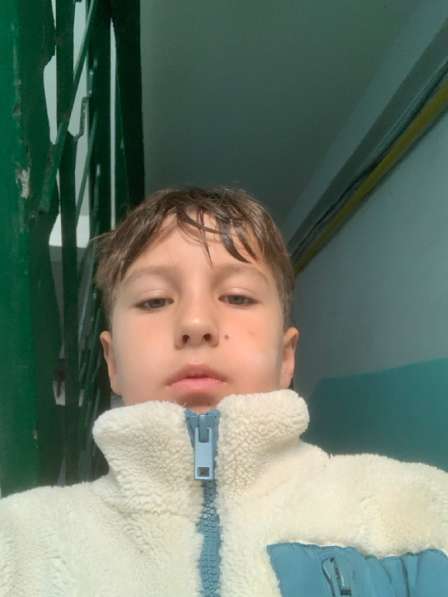 Выгул собак в Тольятти