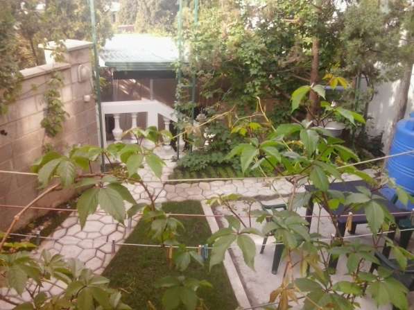 Отдельный номер с двориком в Симеизе в Ялте фото 68