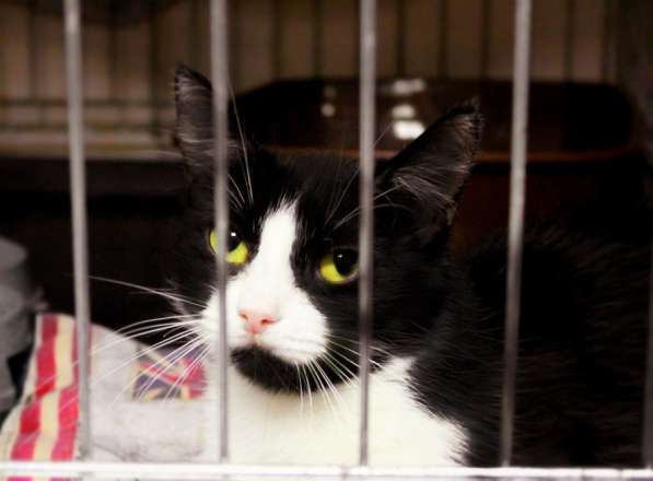 Осторожная Есения ищет своего человека