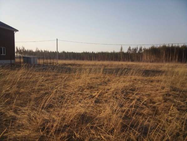 Участок 12,6 сот ИЖС Изумрудный в Воронеже фото 8