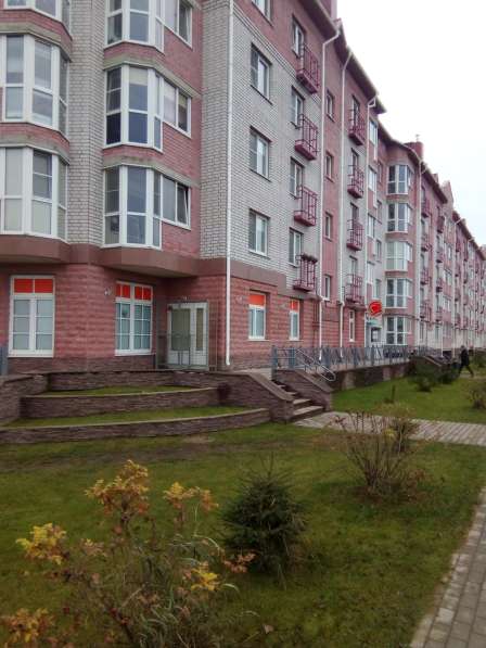 Продаю торговое помещение 380 кв. м. с арендаторами в Великом Новгороде фото 16