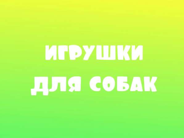 Магазин зоотоваров в Печоре фото 6