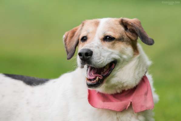 Улыбчивый лучик Фаина ищет семью в Москве фото 20