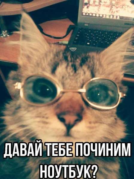 Ремонт и чистка компьютеров, ноутбуков, Переустановка Window в Барнауле