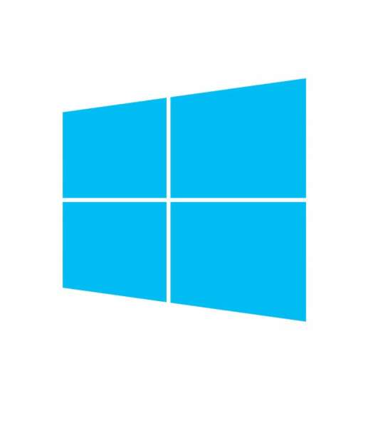 Windows 10 Pro/home