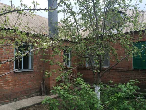 Дом продается срочно! в Таганроге фото 9