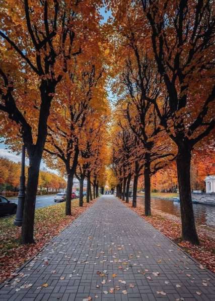 Квартира на Рентгена в Санкт-Петербурге фото 9