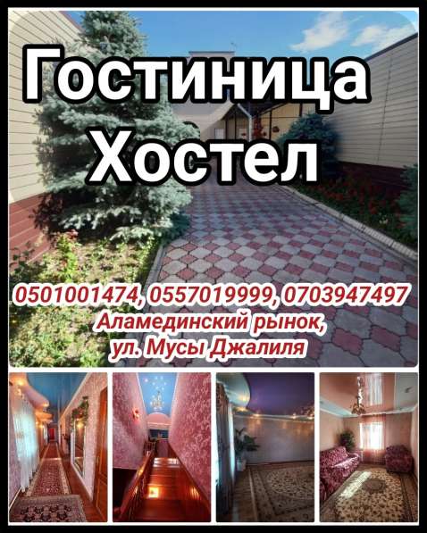Гостиница, хостел. Аламединский рынок