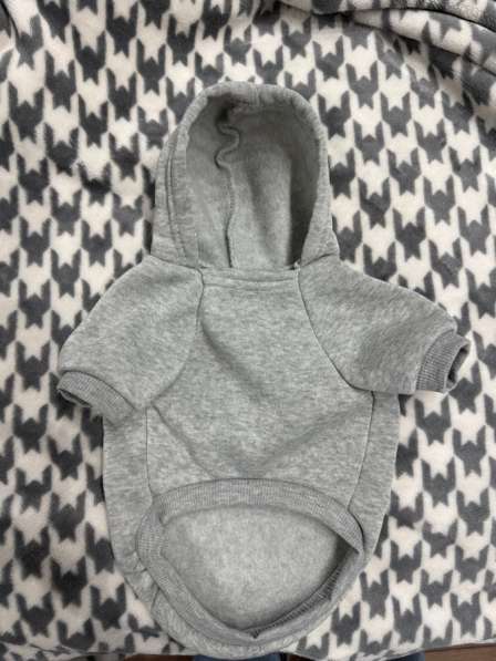 Одежда для маленьких собак в Москве фото 4