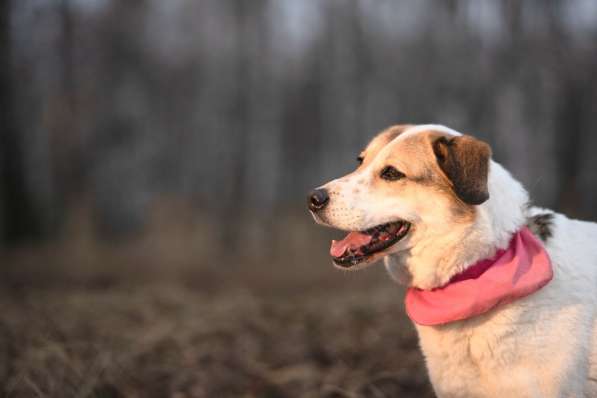 Улыбчивый лучик Фаина ищет семью в Москве фото 28