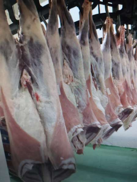 Продается мясо-колбасный бизнес в Румынии в фото 3