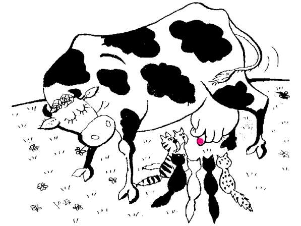 Куплю коровье и козье молоко в Сочи