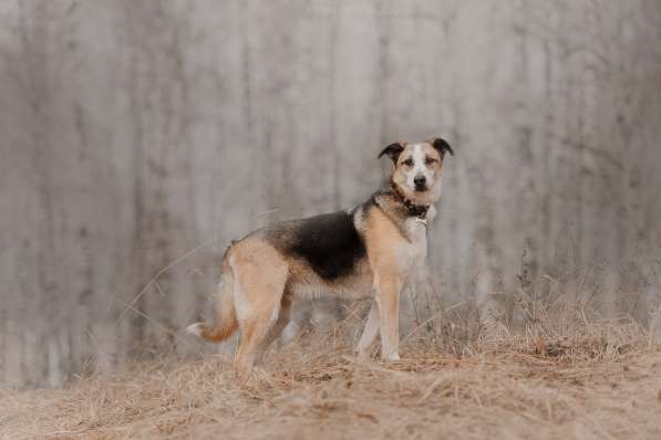 Молодой энергичный Майор ищет семью в Москве фото 31
