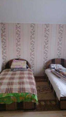 Коттедж в Ногинске