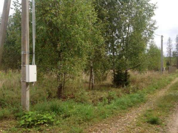 Продается земельный участок в ДНП "Березовая долина" (вблизи д. Бабынино) 119 км от МКАД Минское шоссе. в Можайске