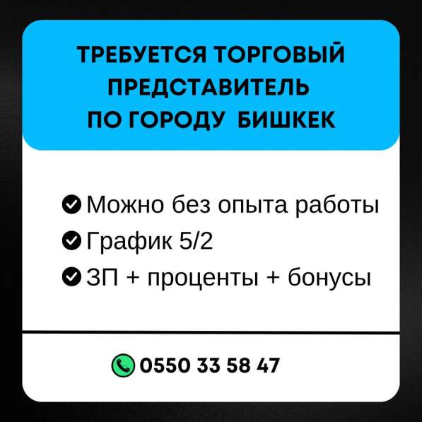 Требуется торговый представитель по городу Бишкек