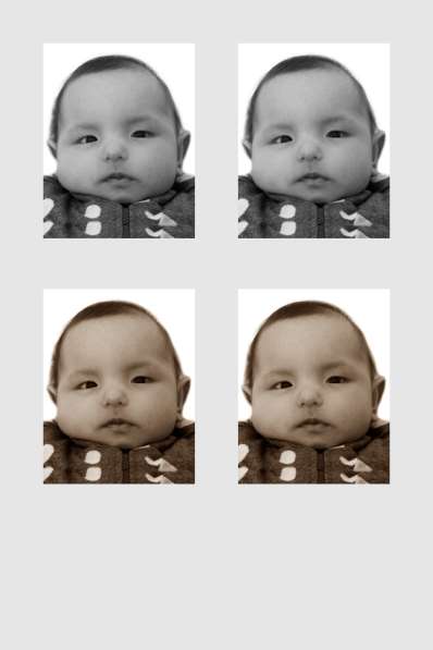Услуги фотографа в Барнауле