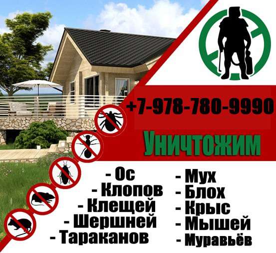 УНИЧТОЖИМ КРЫС, ТАРАКАНОВ И КЛОПОВ в Керчи фото 3