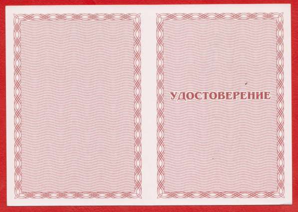Орденский знак «А. И. Дутов» с документом в Орле