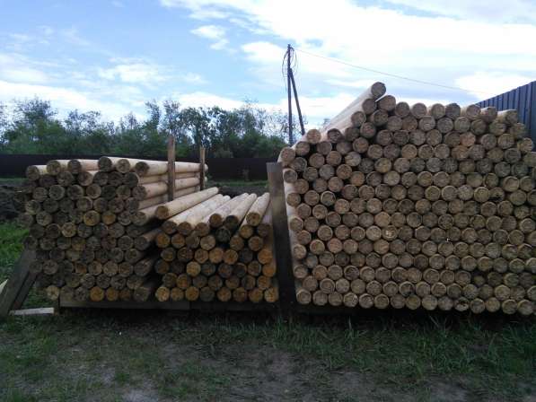 Столбики деревянные, заборные в Красноярске фото 3