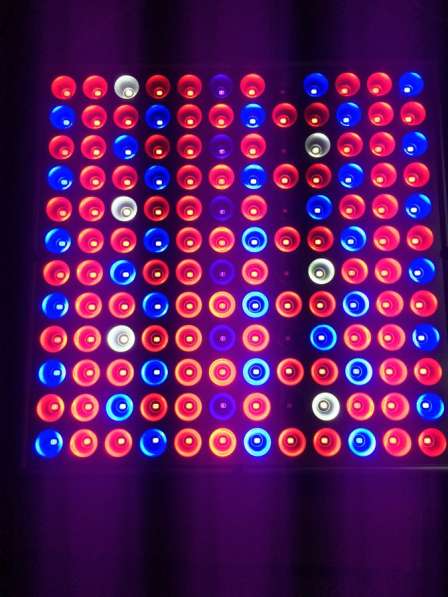 Фитосветильник для роста растений в Москве фото 5