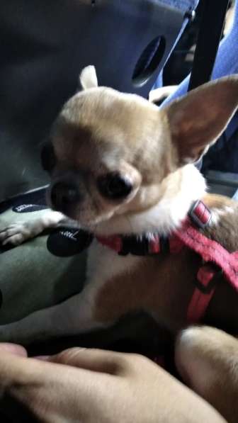 Познакомлюсь