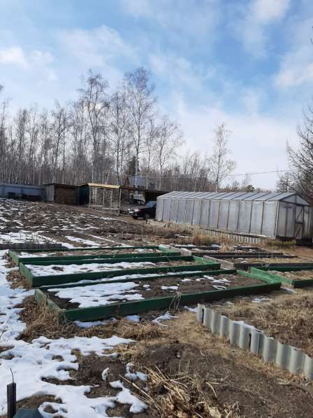 Продам дачу г. Чита № 79 " Овощевод" в Чите фото 10