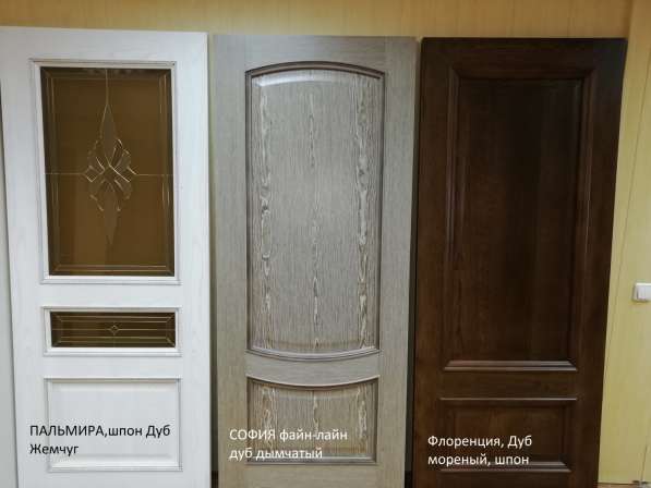Межкомнатные двери в Нижнем Новгороде фото 11