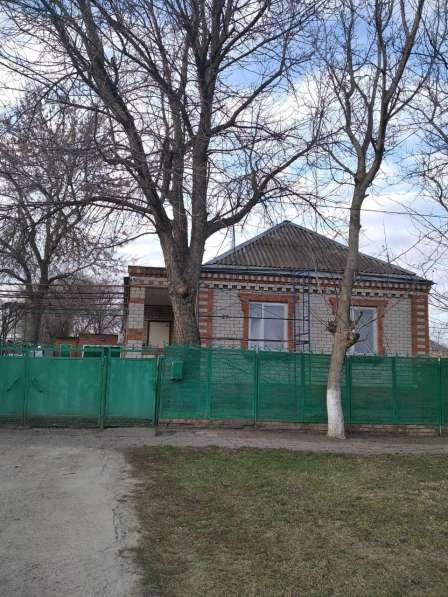 Дом на Кубани, Россия в Краснодаре фото 8