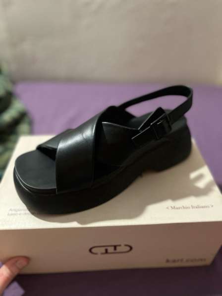 Отдам даром в Бийске