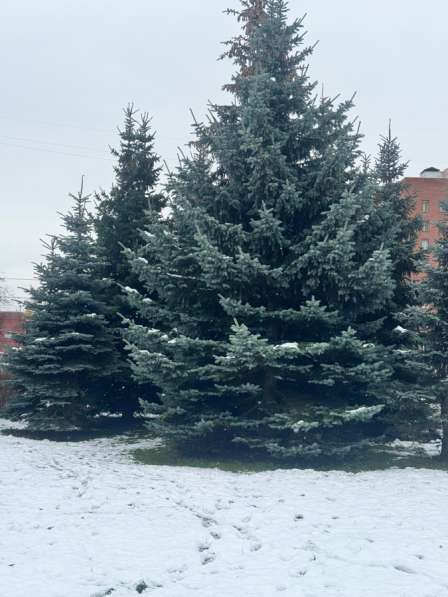 Ищу квартиру на долгое время