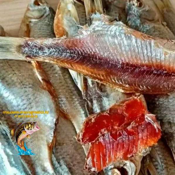 Рыба вяленая и сушена Сорожка по цене 350 руб./кг