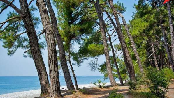 Экскурсии из Голвинки, Вардане и Лоо в Абхазию в Сочи фото 25