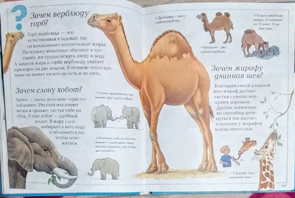 Энциклопедия для любознательных. Продаю книгу в фото 14