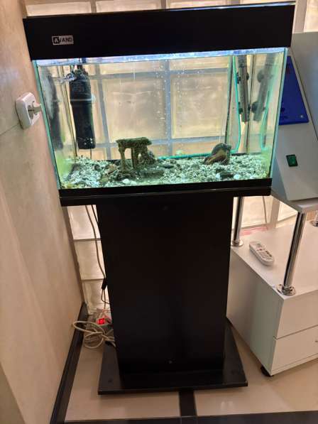 Аквариум для рыбок!