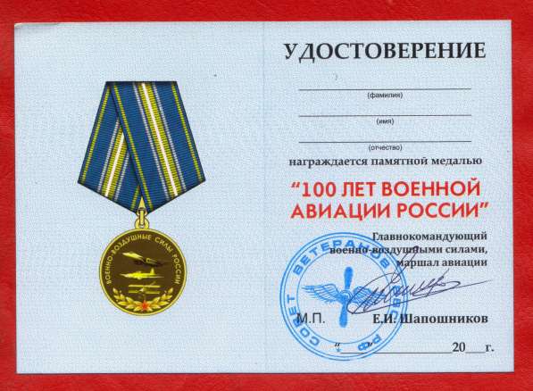 Медаль 100 лет военной авиации России документ 2012 ВВС в Орле фото 3