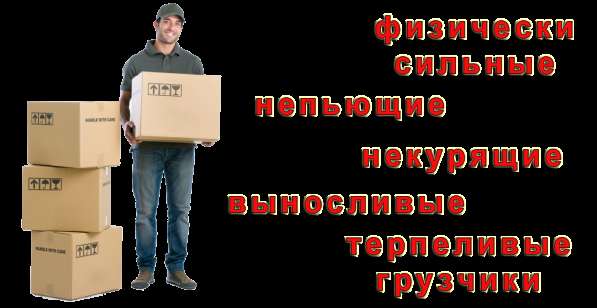 Грузчики. Грузоперевозки – ТК «РазГруз» в Ялте