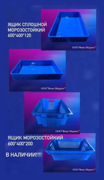 Ящик пищевой, размером 600х400х200 мм, с перфорацией в Владивостоке